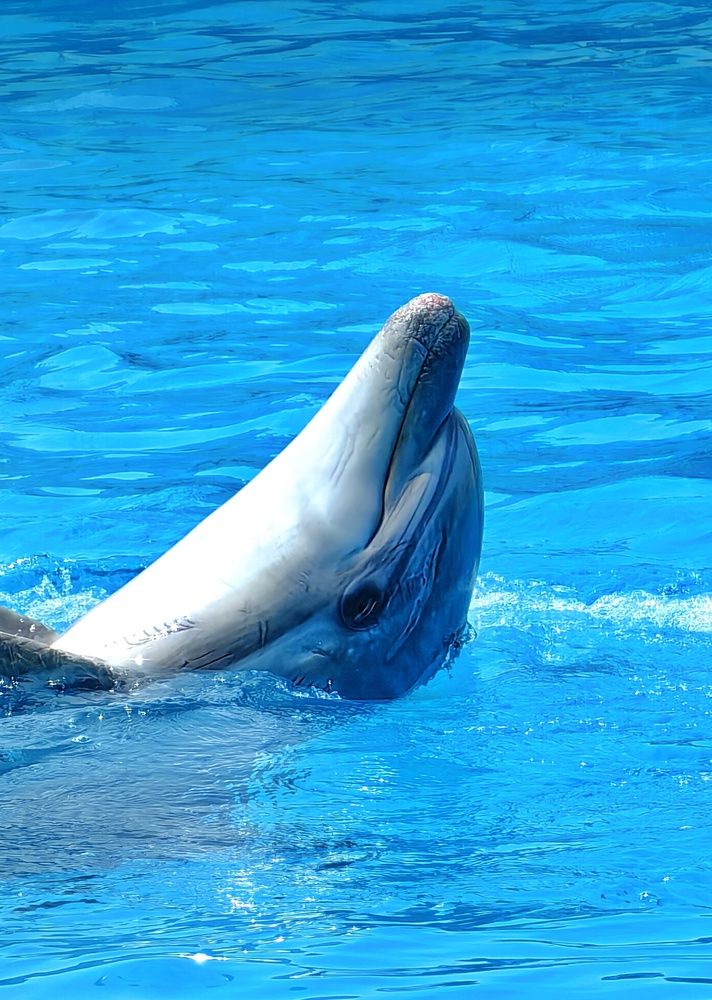 Photograph by Сергей Зайцев