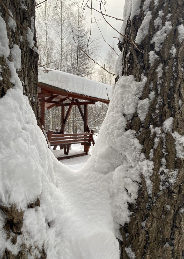 Photograph by Алиса Лукина