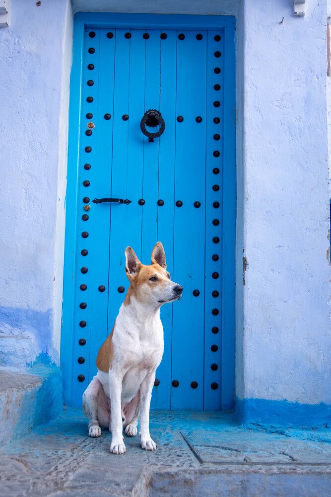 Photograph by esti lahat