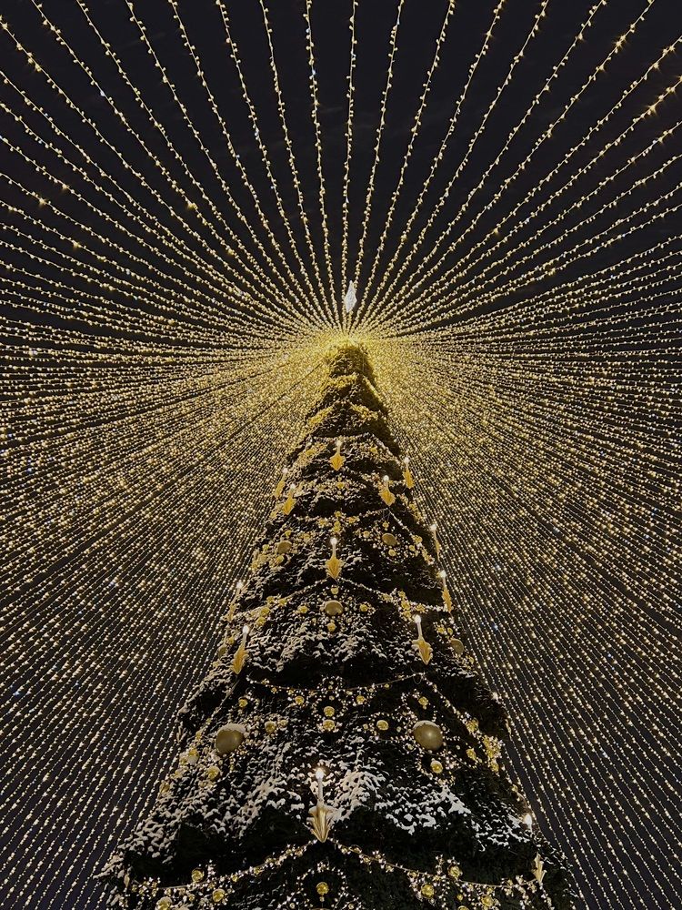 Фотография автора Полина Ишкина