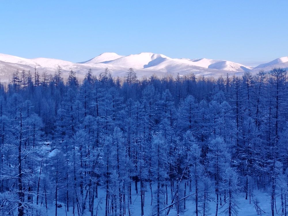 Photograph by Михаил Мархинин