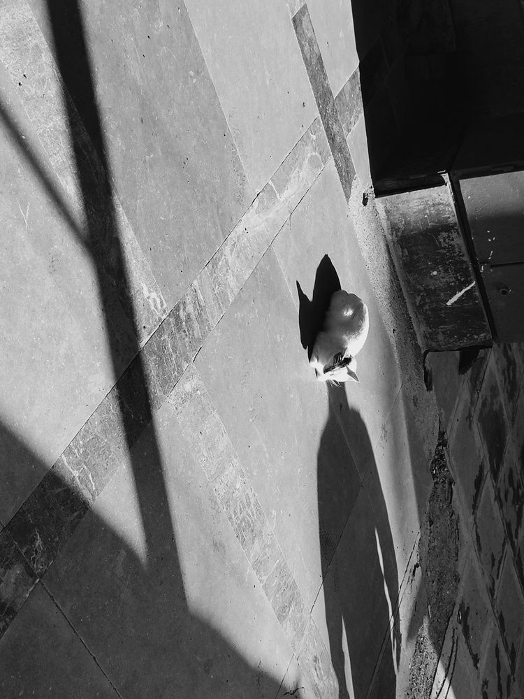 The Unseen Architect