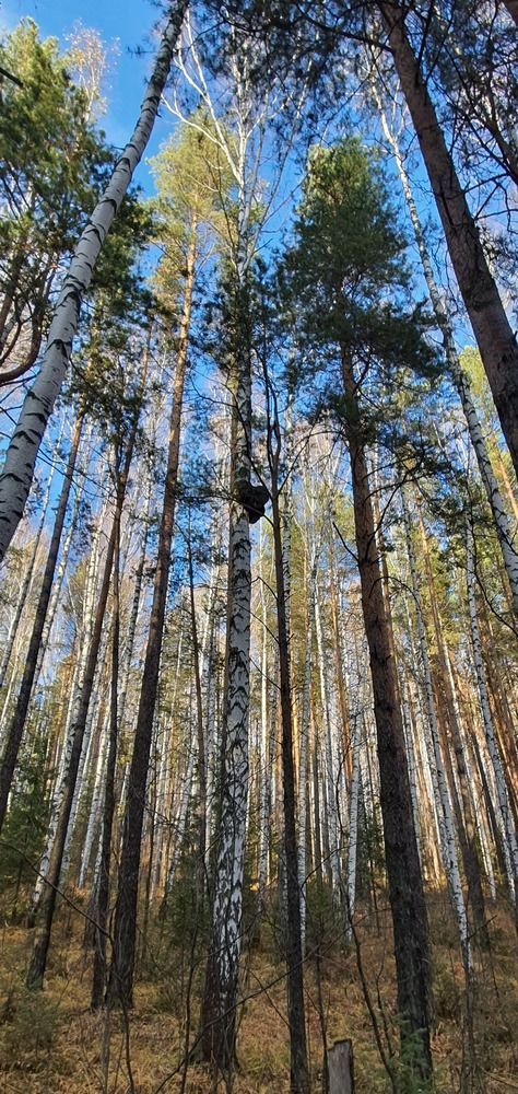 Photograph by Александр Щекотуров