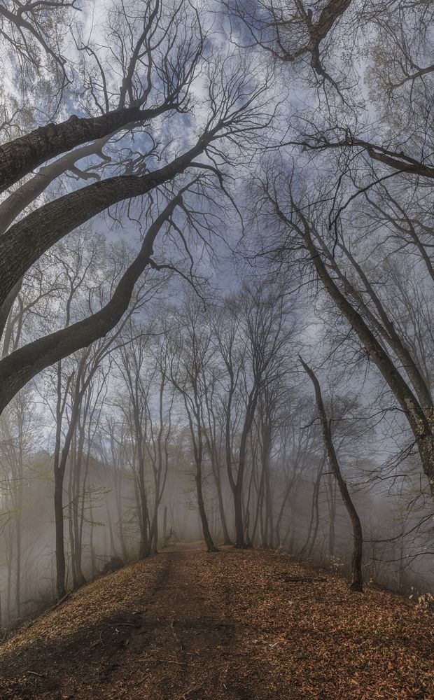 Photograph by Чухров Дмитрий