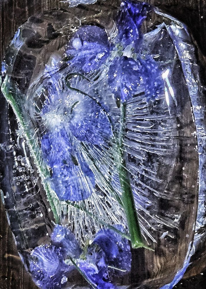 Фотография автора Natalia Cuciaș