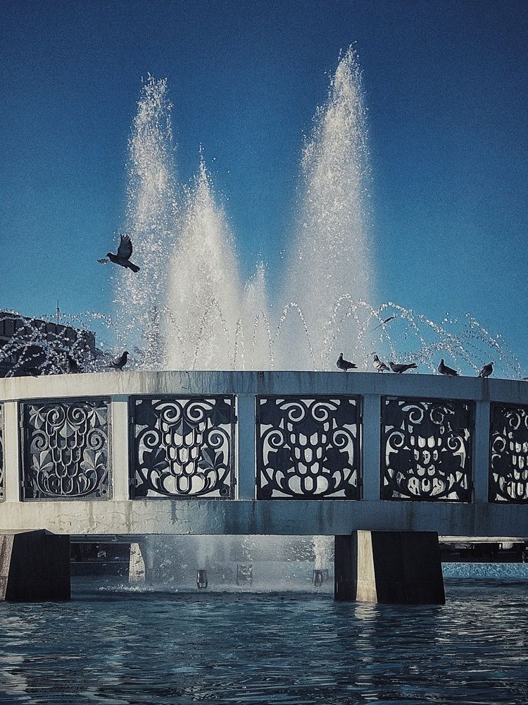 Фотография автора Natalia Cuciaș