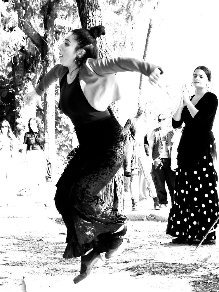 Photograph by Francesca Falgari