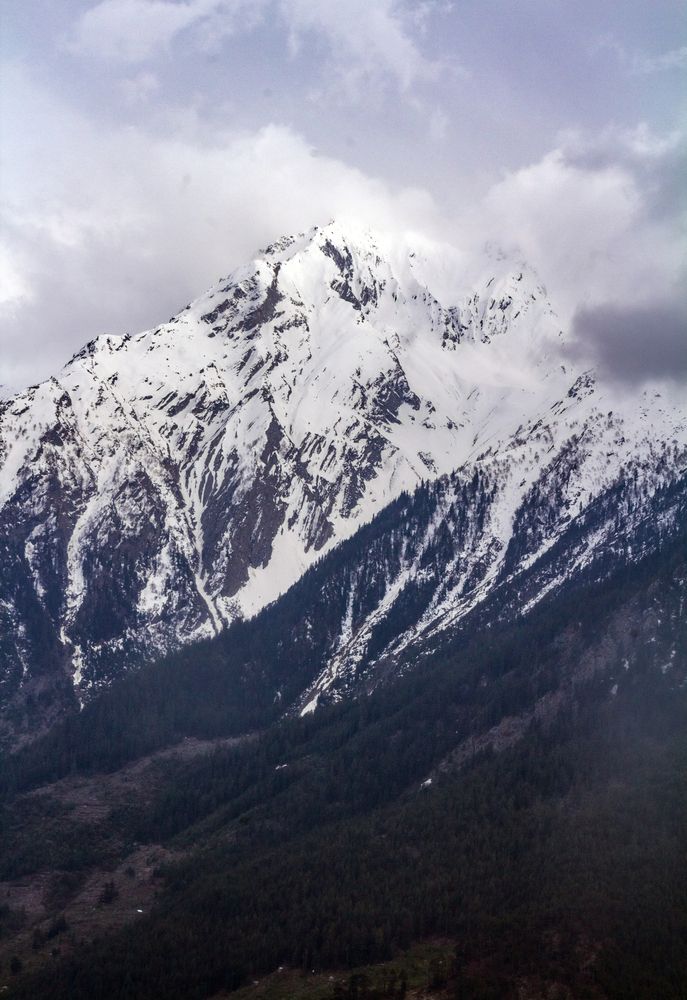 Photograph by Shalini Jain