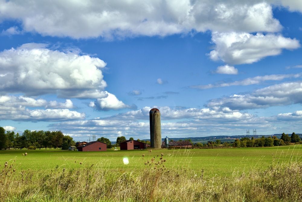 Фотография автора Francisco Ethige Silva