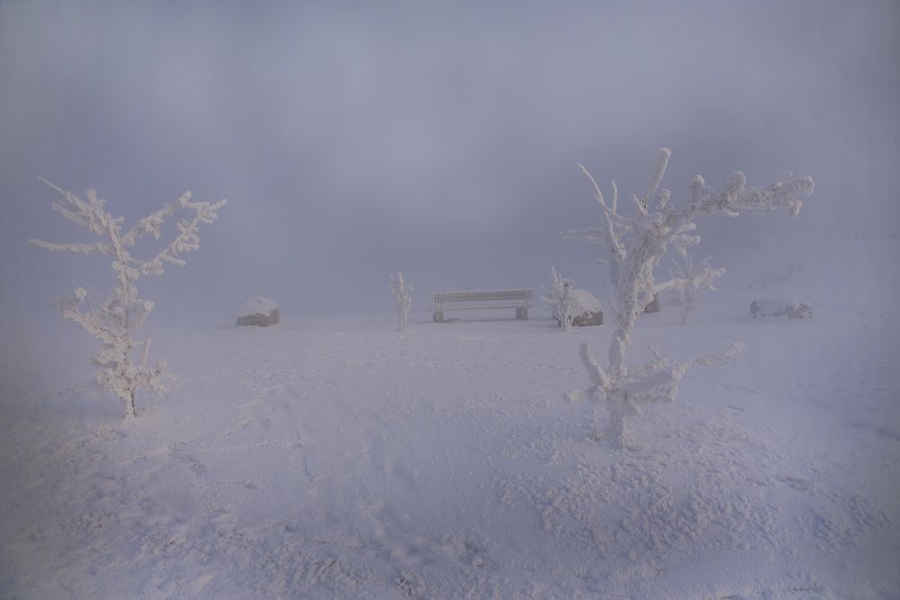 Морозное безмолвие.