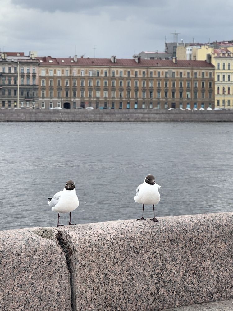 Photograph by Ксения Юртаева