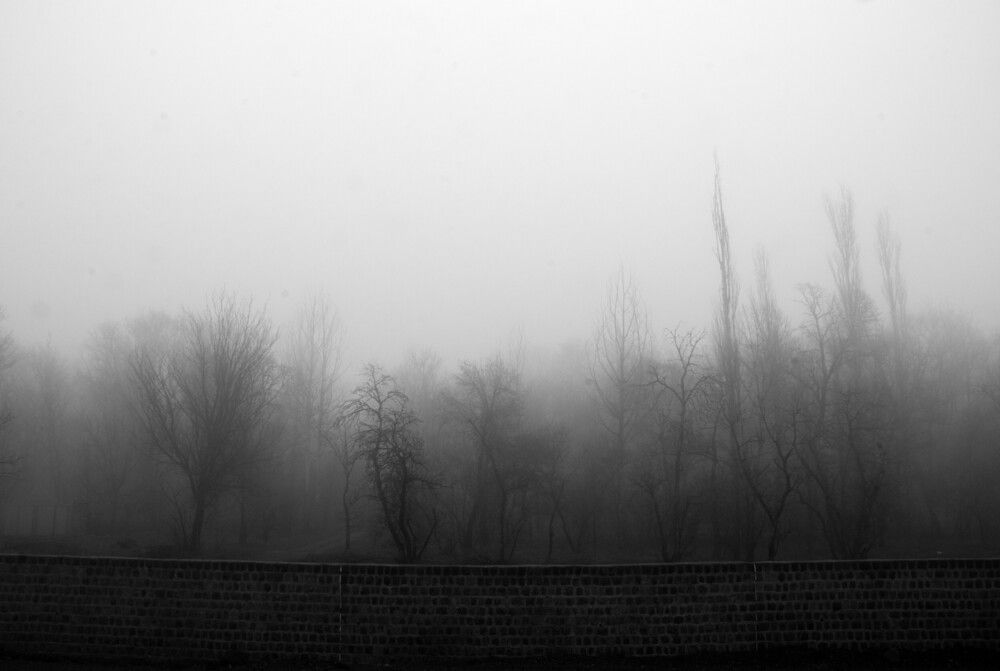 Photograph by Reza Heydari