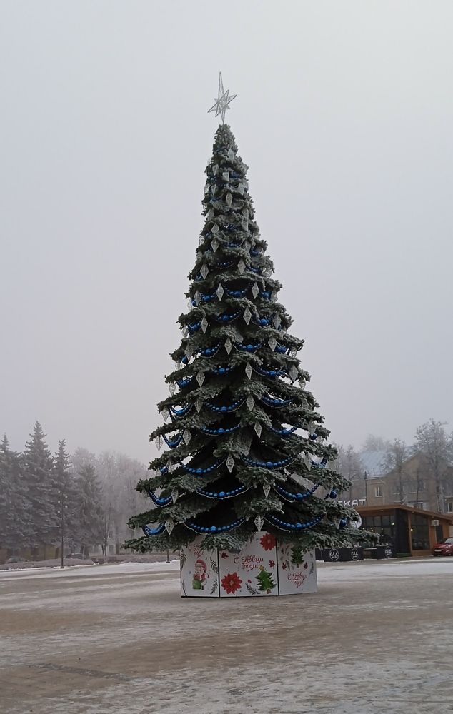 Photograph by Светлана