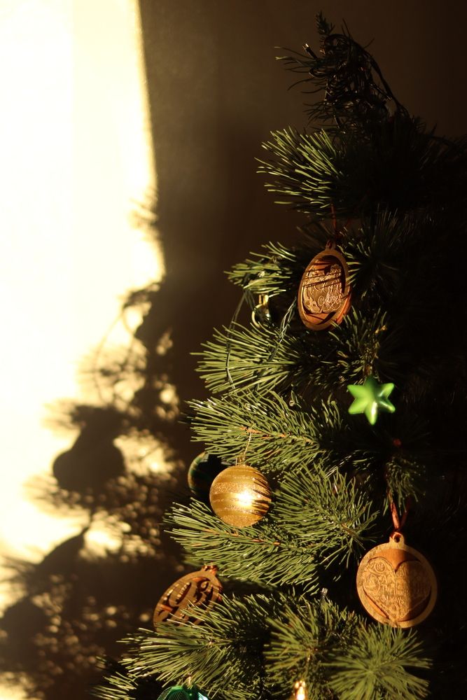 Photograph by Ксения Золотарь