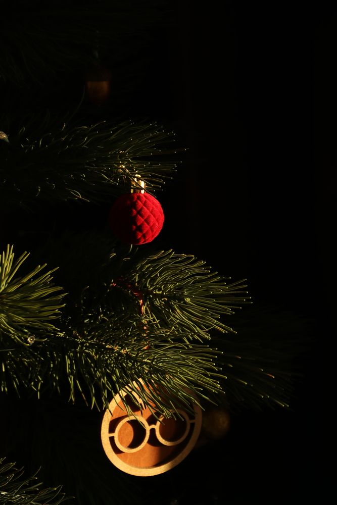 Photograph by Ксения Золотарь