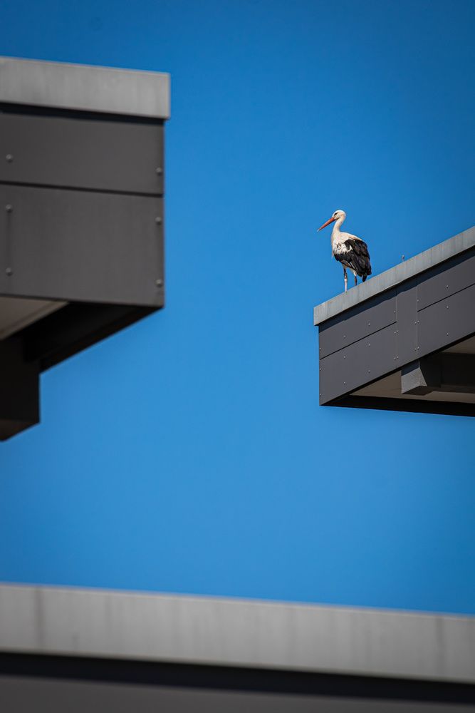 Photograph by Ed Simon