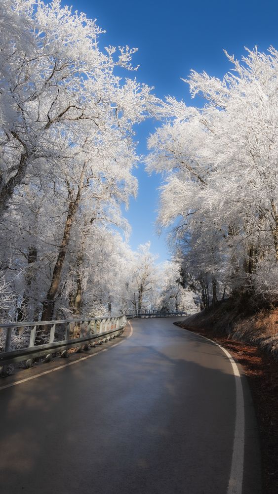 Photograph by Ed Simon