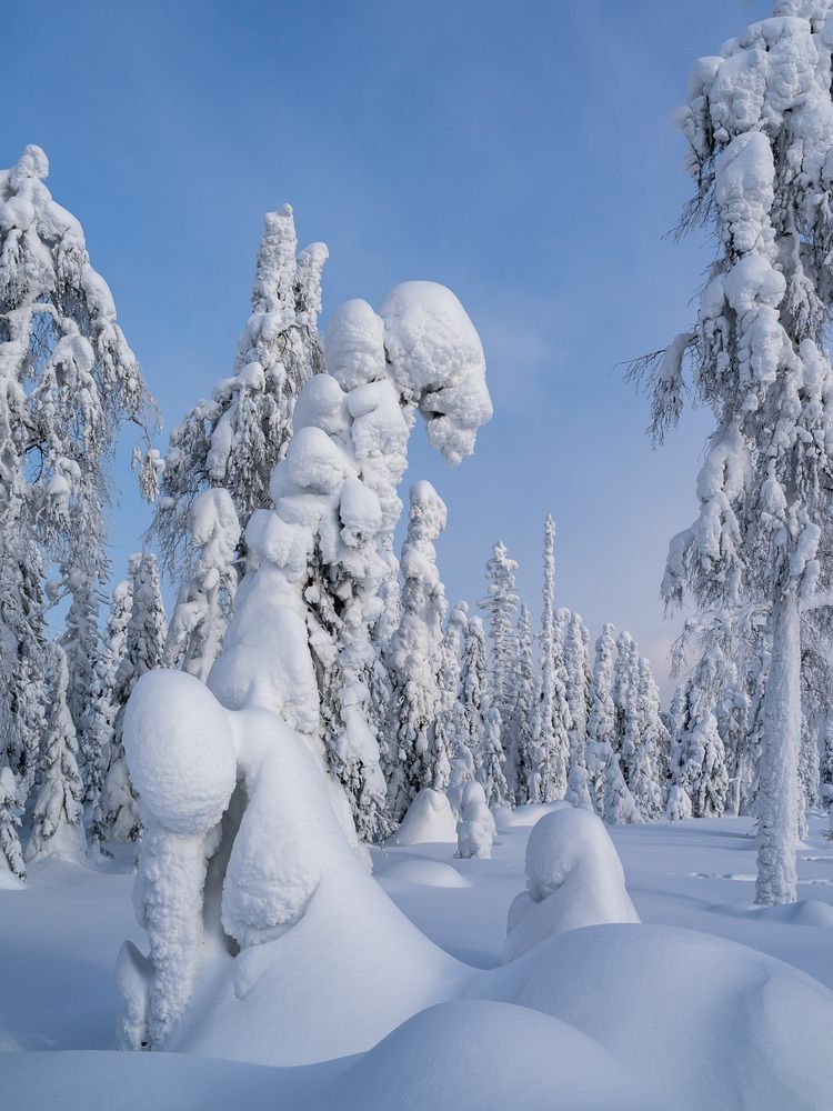 Photograph by Межин Сергей