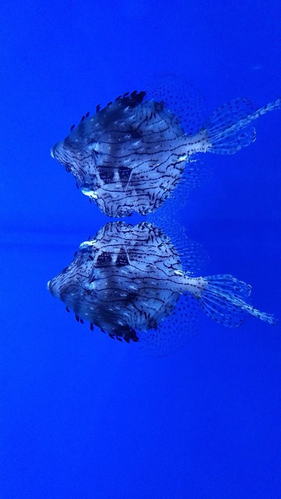 Photograph by Елена Киселёва