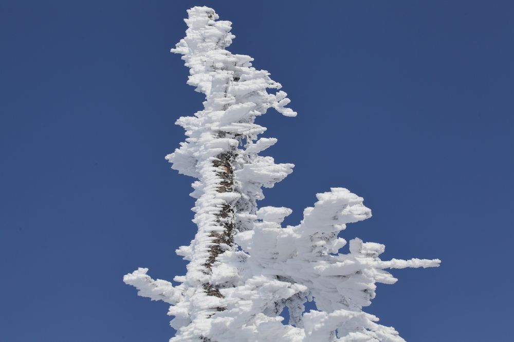 Photograph by Александр Полюдов