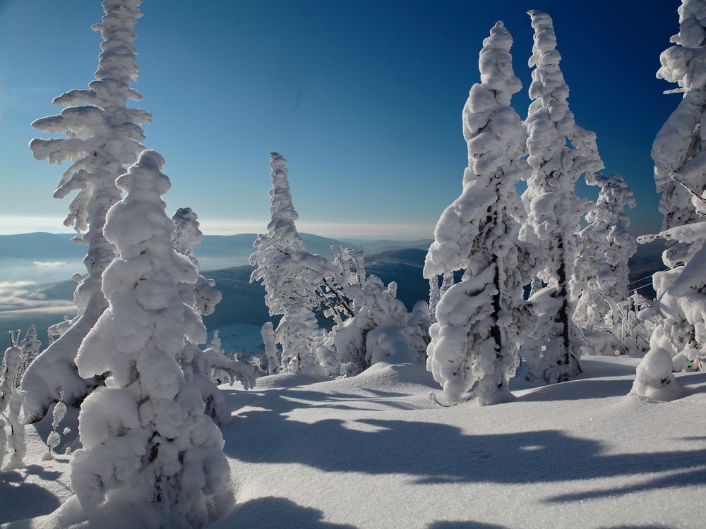 Photograph by Александр Полюдов