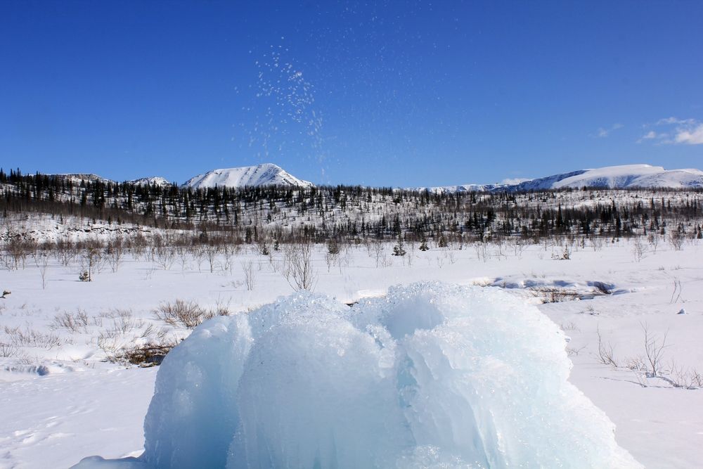 Photograph by Olga Bagaeva