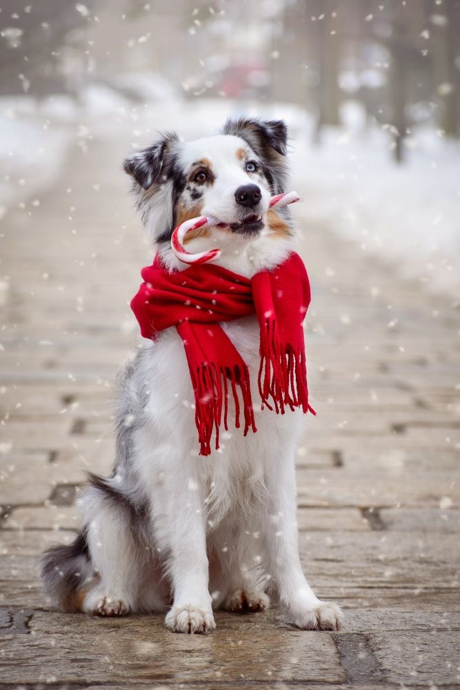 Photograph by Adéla Kovaříková