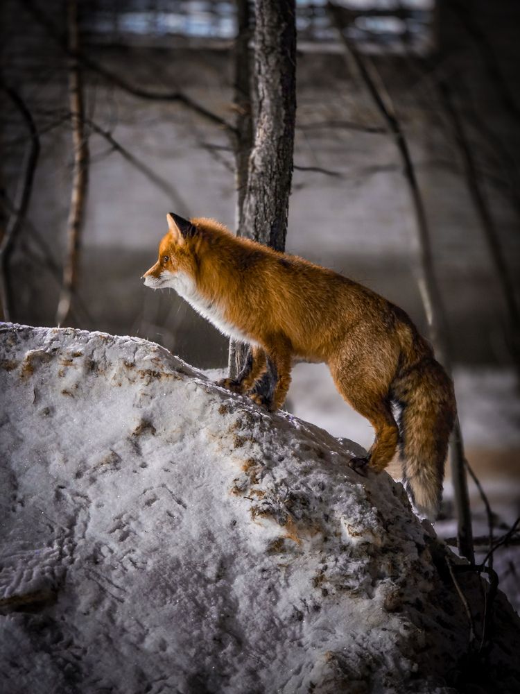 Photograph by Валерий Иванов
