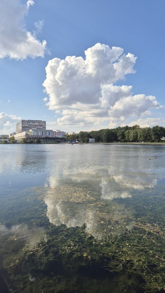 Photograph by Ирина