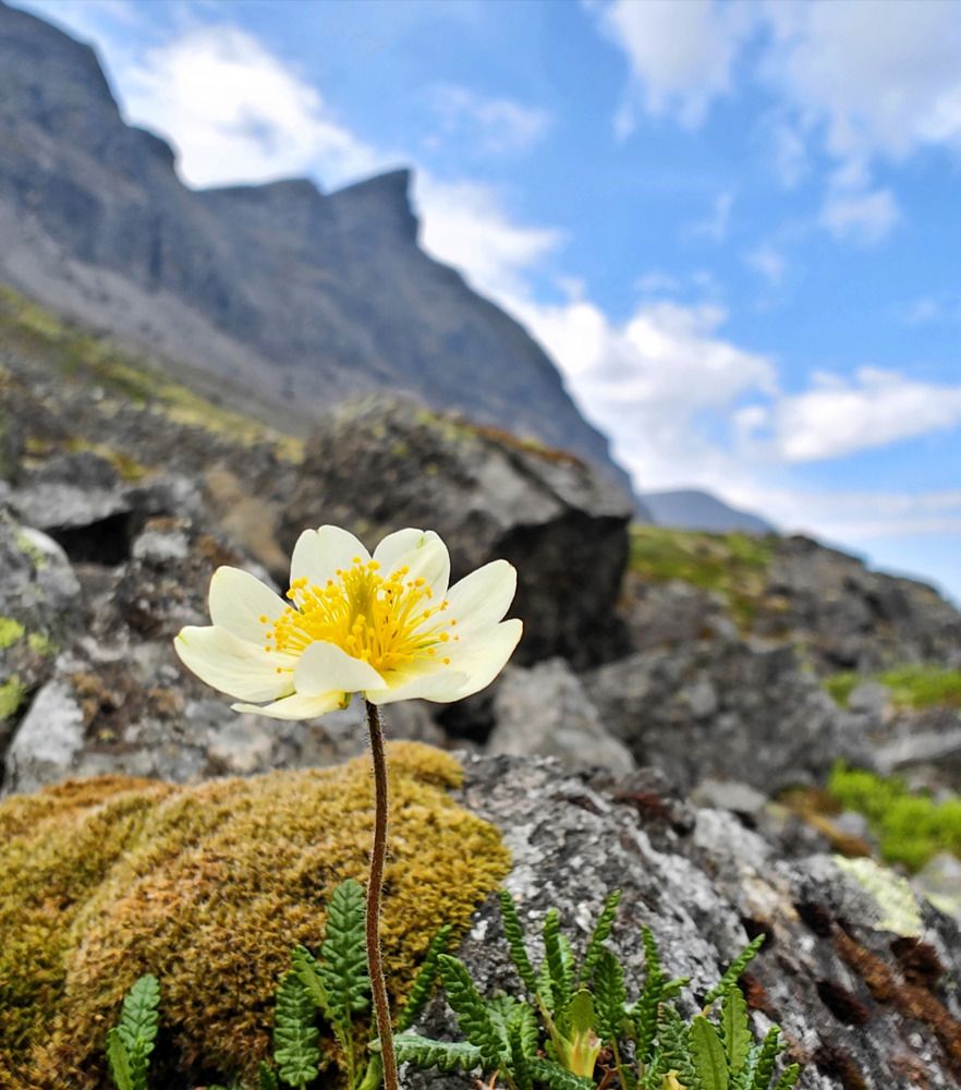 Photograph by Оксана Машкина