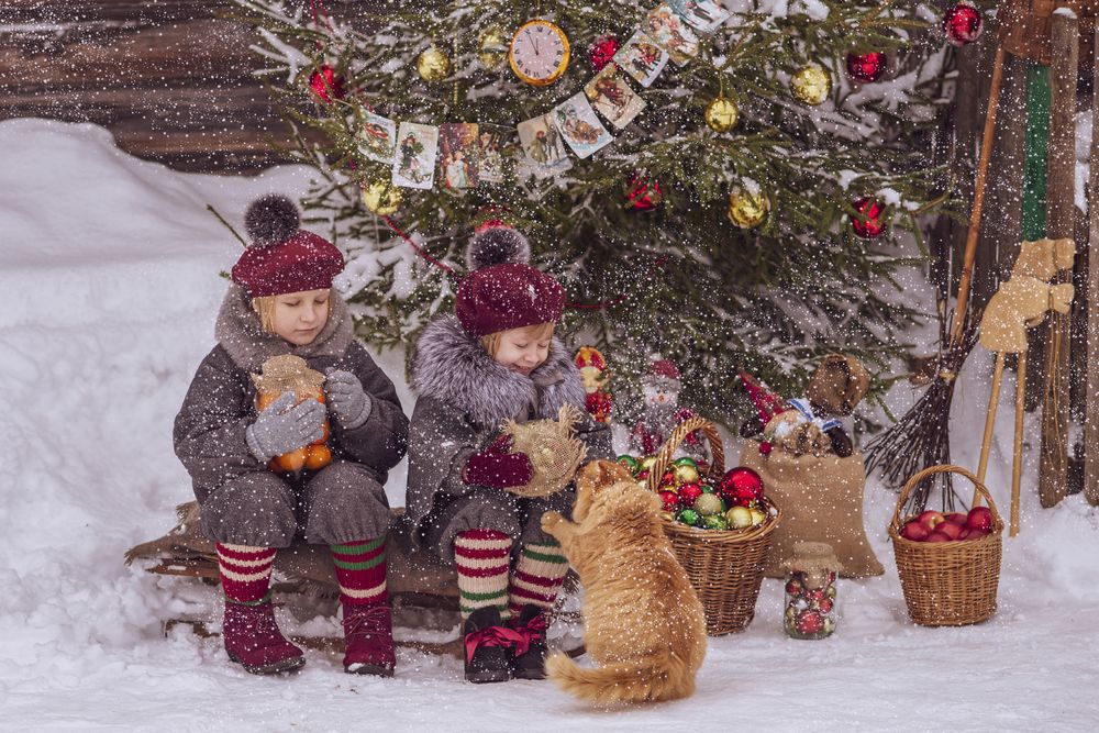 Подарок для Лютика!