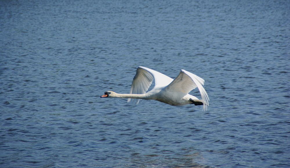 Фотография автора Sergej Roor