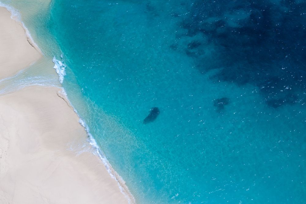 Photograph by Anna Amarova