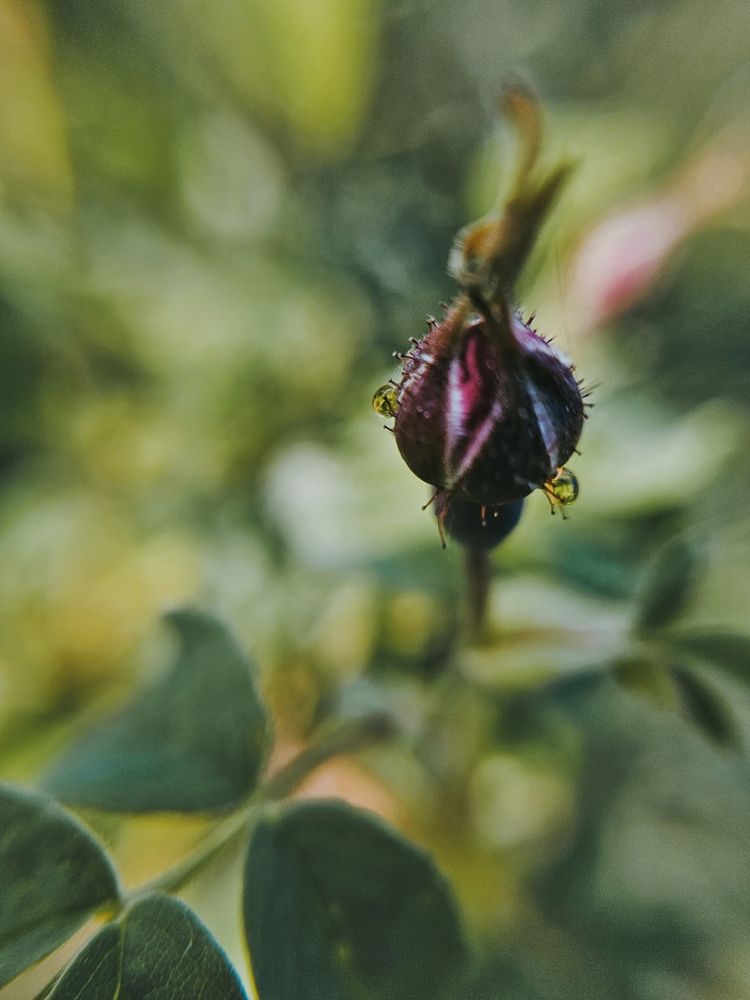 Photograph by Светлана Болтовская