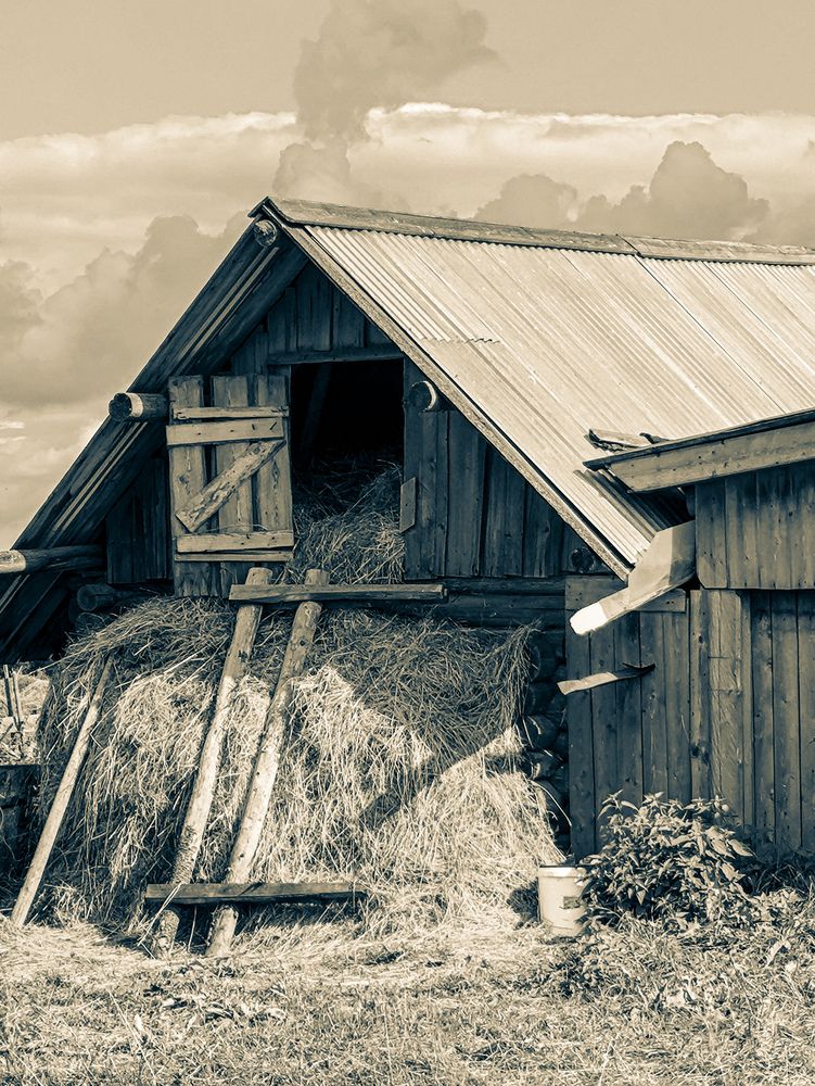 Photograph by Лариса Лысенко