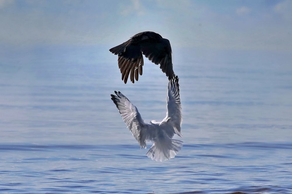 Photograph by Татьяна Бравая