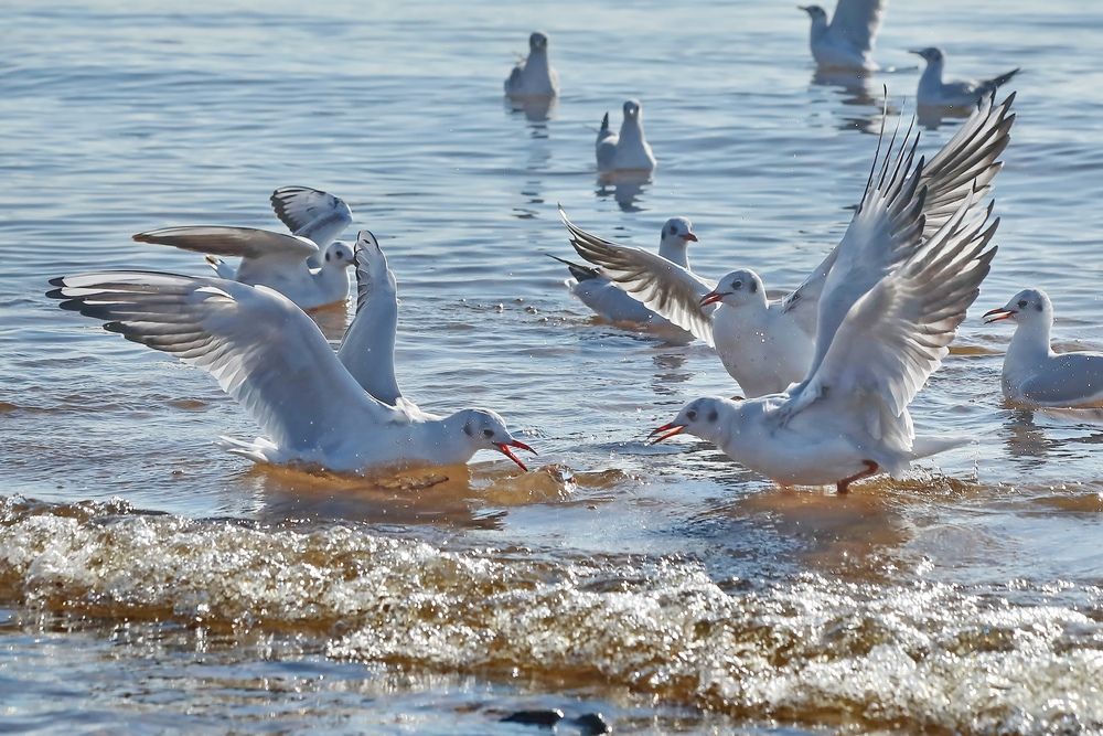Photograph by Татьяна Бравая