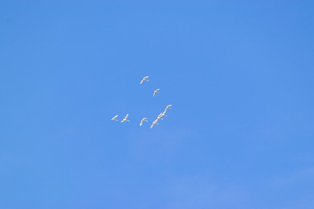 Photograph by Олег Яковлев