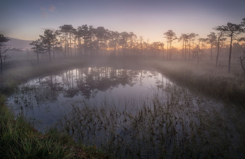 Photograph by Ivan Glinskiy