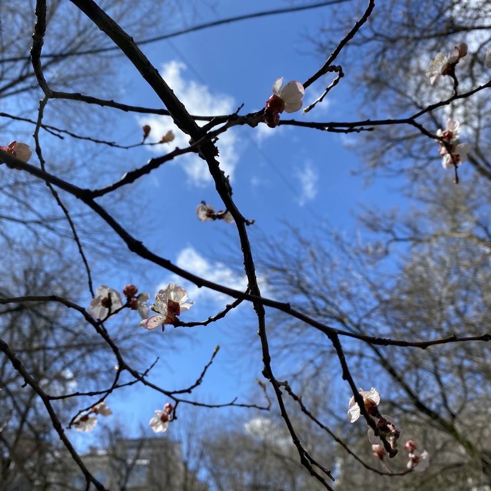 Photograph by Сергей Смирнов