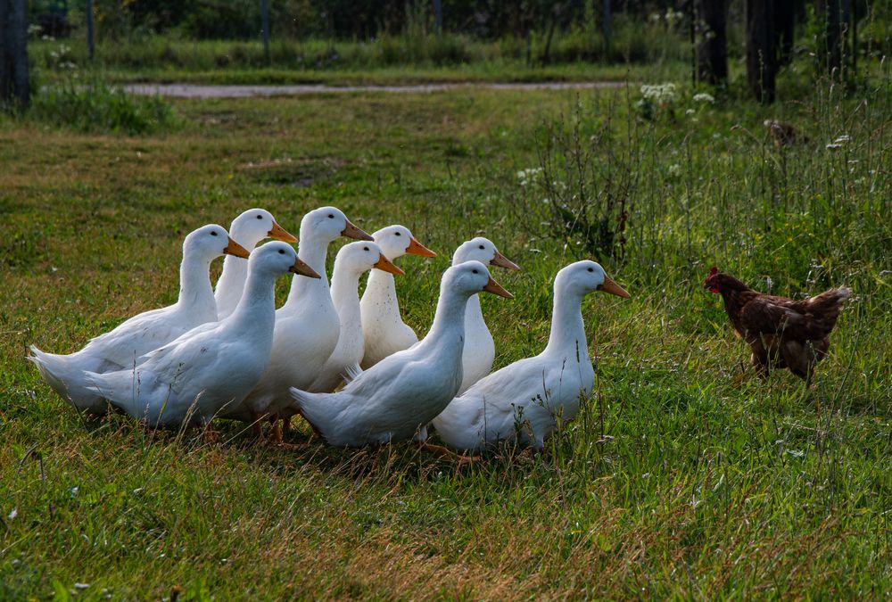 Фотография автора Tатьяна Дин