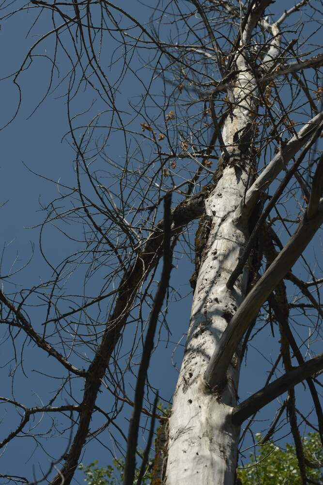 Photograph by Ясинский Константин