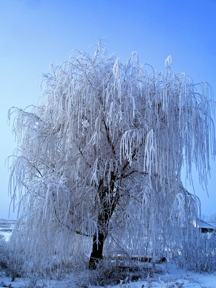 Photograph by Ксения Мироненко