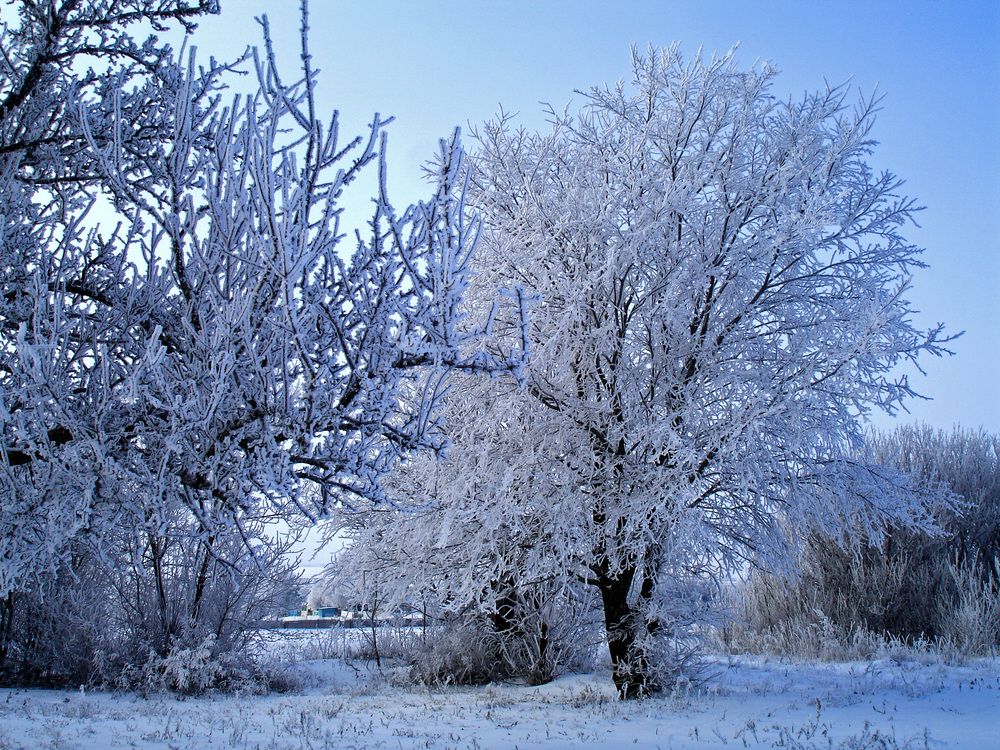 Photograph by Ксения Мироненко