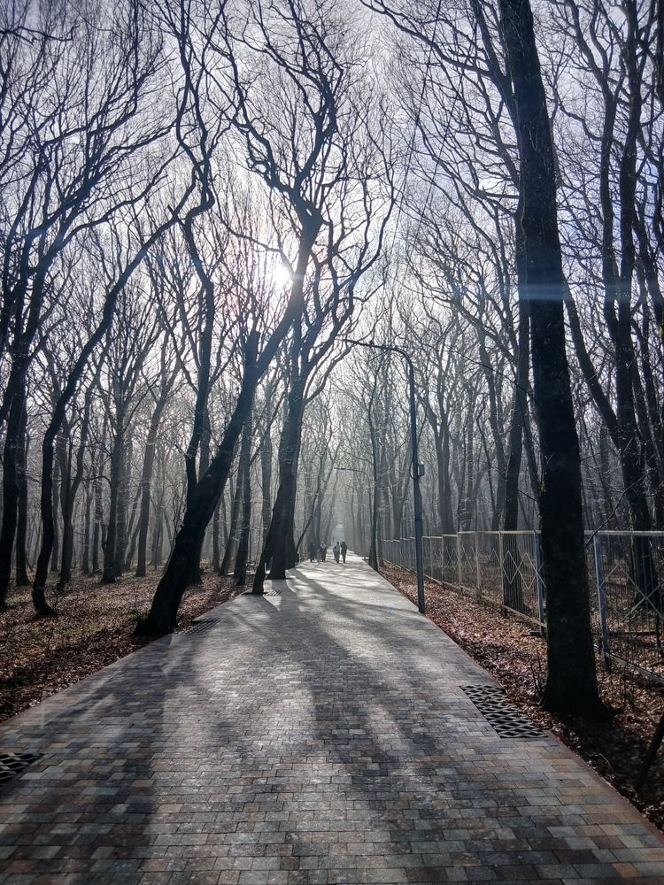 Photograph by Юрий Хадыка