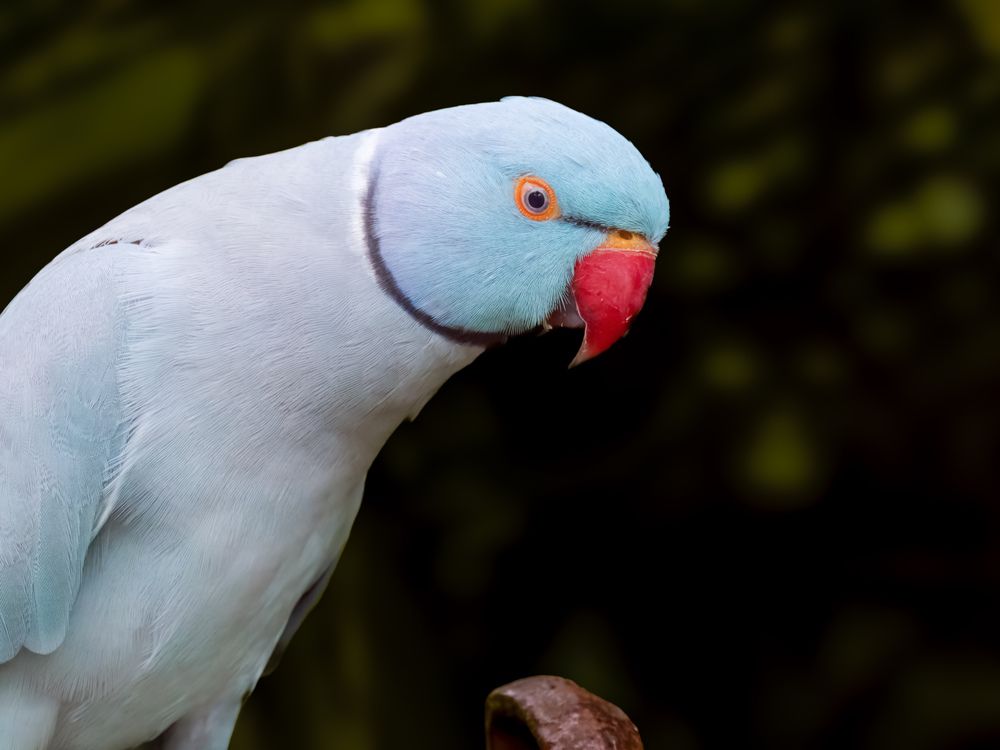 Photograph by Sutan Naga Effendy