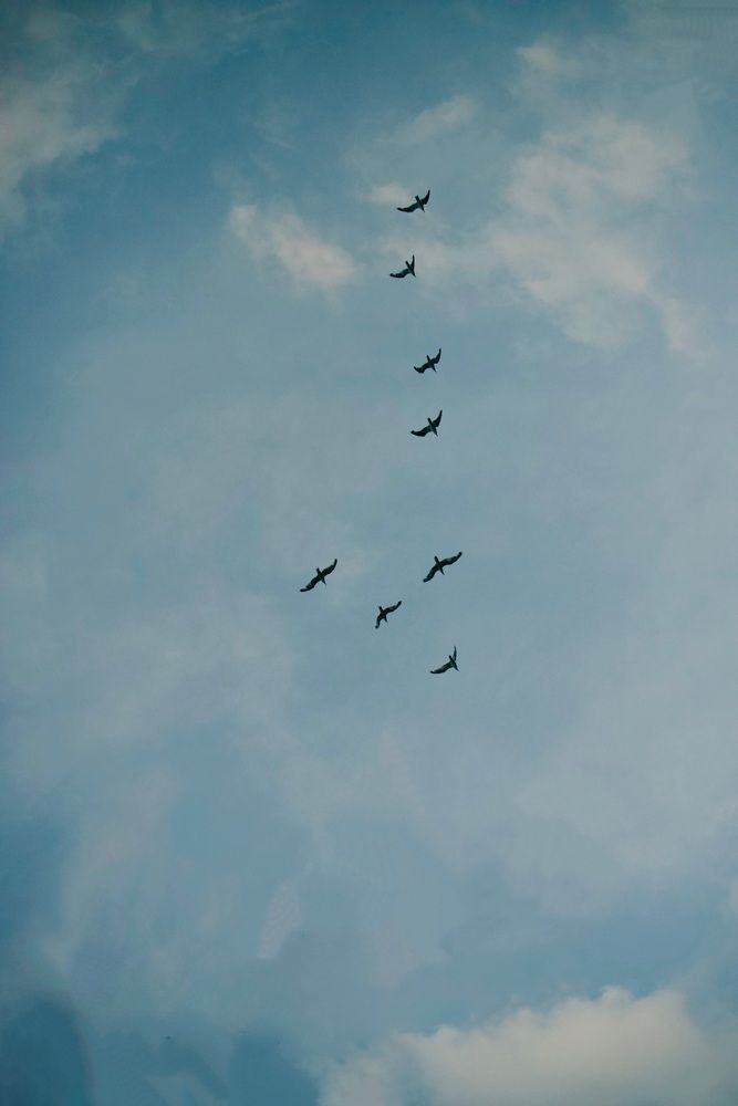 Фотография автора Виктория Болотникова