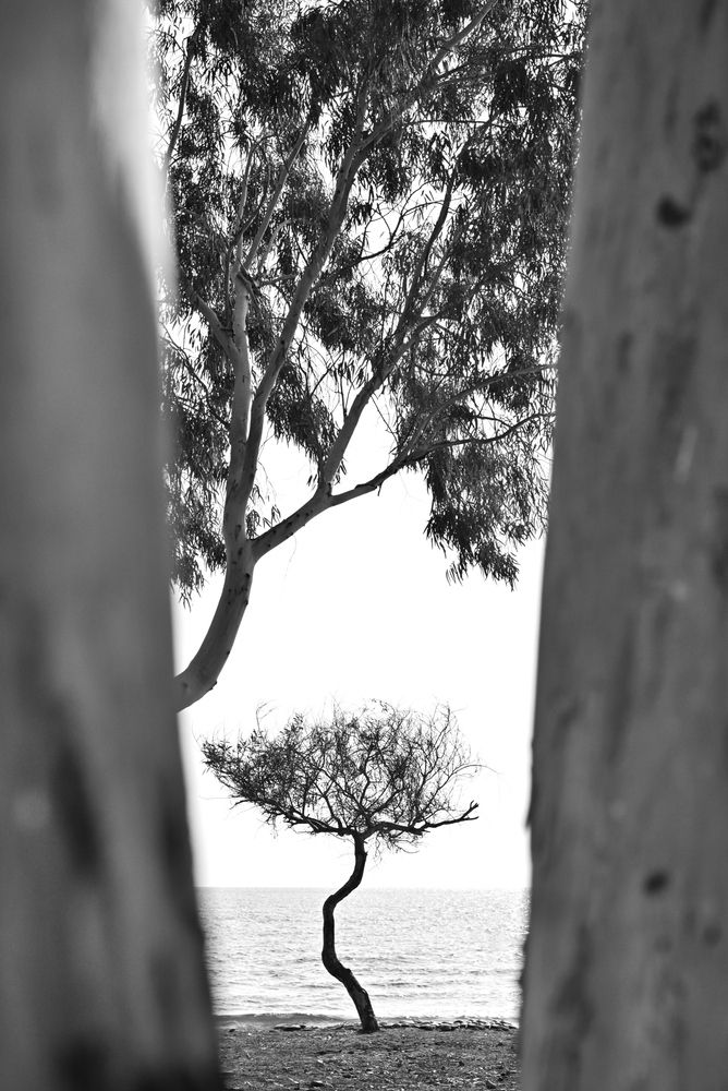 Photograph by Vladimir Shish