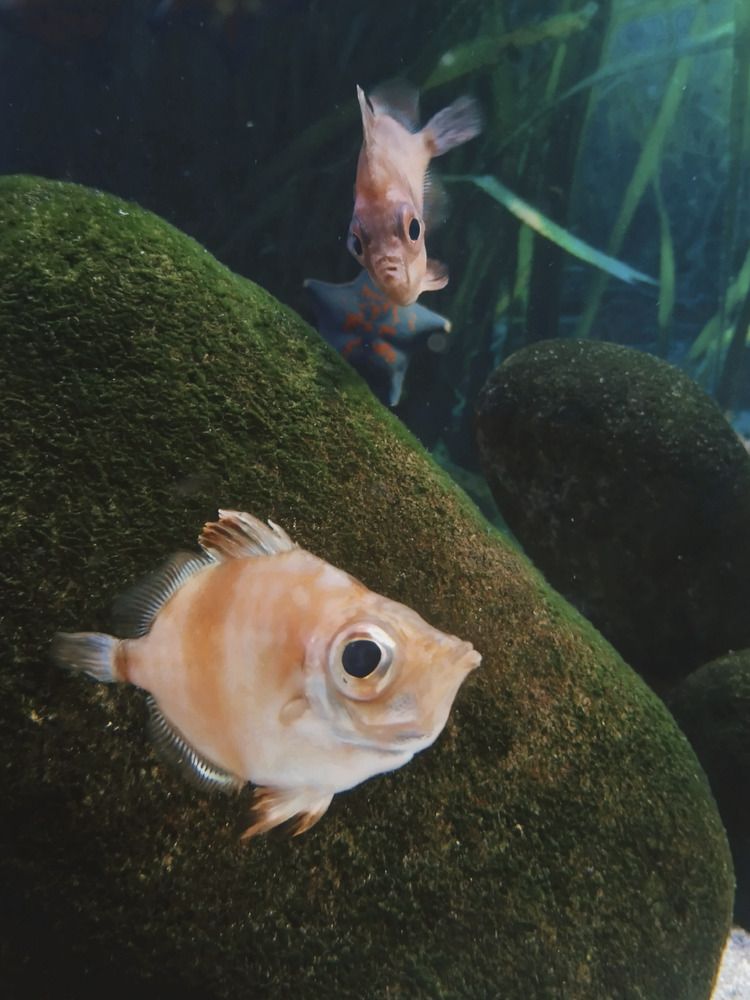 Photograph by Анастасия Юрьева