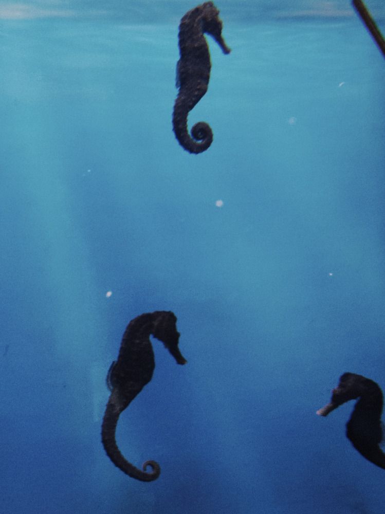 Photograph by Анастасия Юрьева